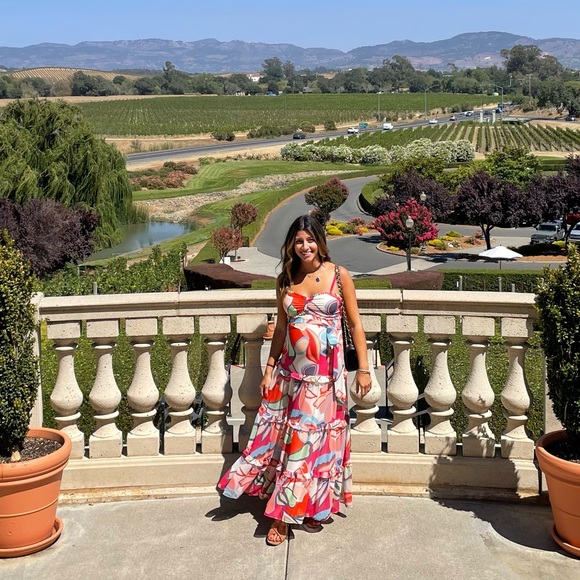 Alexis Size Small Maxi Dress - Picture 9 of 9